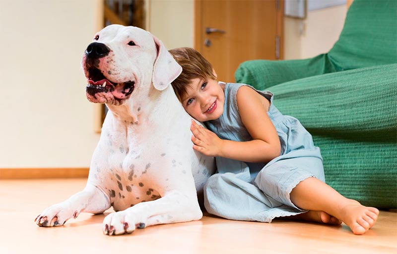 niña abrazando su perro