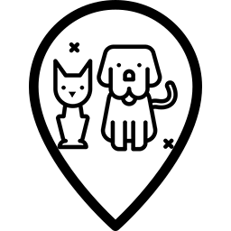 Velación