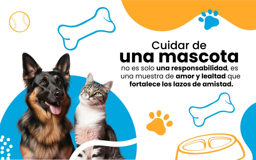 perro y gato jovenes y felices