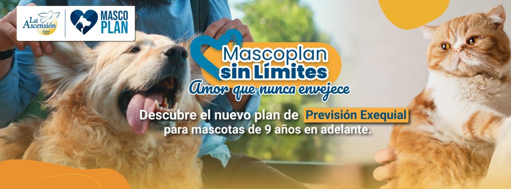 banner-web-mascoplan-sin-limites