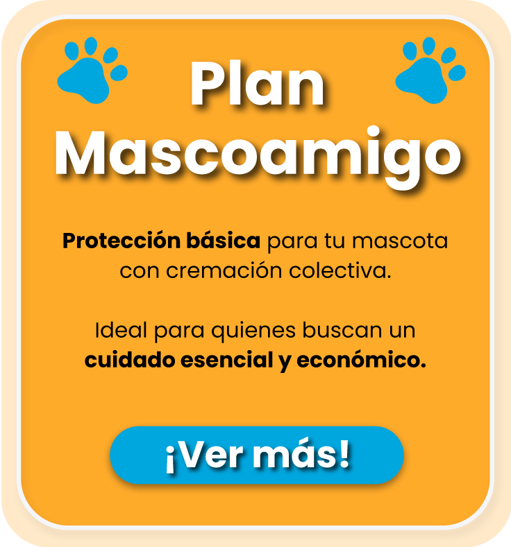 plan-para-mascotas-mascoamigo