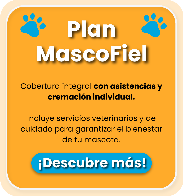 plan-para-mascotas-mascofiel