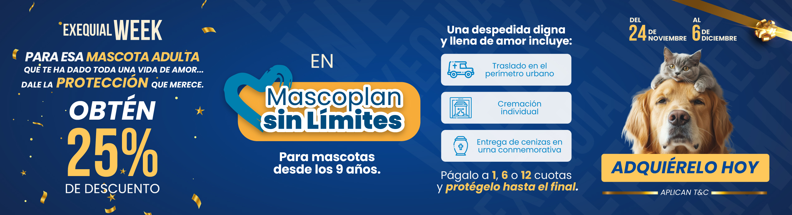 BANNER-MASCOPLAN